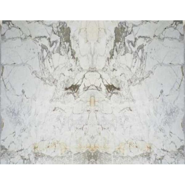 Fantasy White Marble